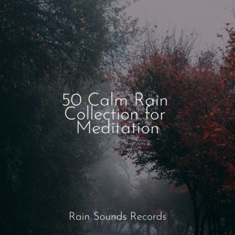 Mystic Rainfall ft. Musica Relajante Specialistas & Musica Relajante & Ocean Sounds | Boomplay Music