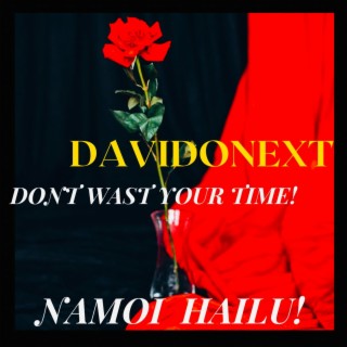 Don't wast your time! (Radio Edit) lyrics | Boomplay Music