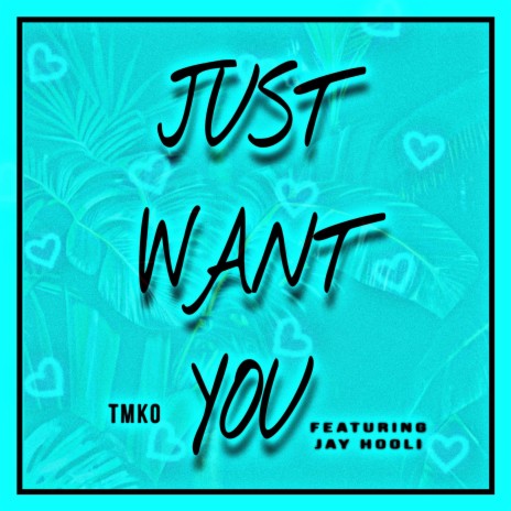 Just Want You ft. Jay Hooli