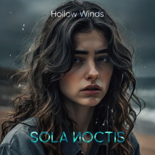 Hollow Winds (Acoustic) lyrics | Boomplay Music