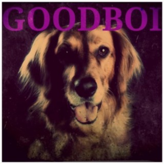 WELCOME 2 GOODBOI lyrics | Boomplay Music