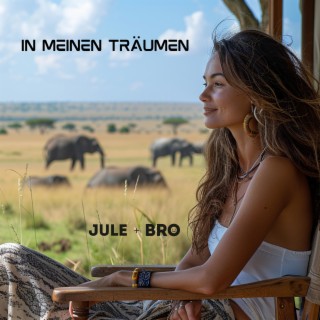 In meinen Träumen ft. Bro lyrics | Boomplay Music