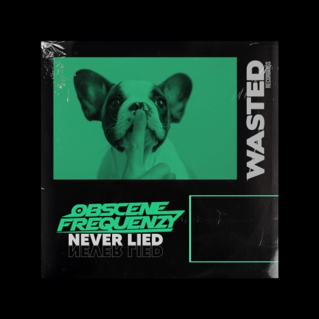 Never Lied | Boomplay Music