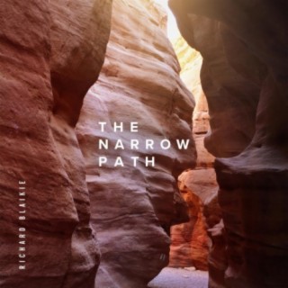 The Narrow Path (Where Would I be Now?) lyrics | Boomplay Music