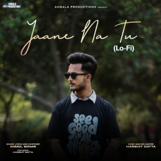 Jaane Na Tu (Lo-Fi) ft. Harshit Datta