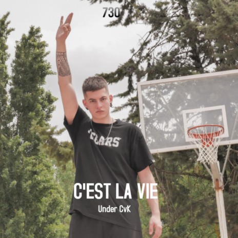 C'est la vie | Boomplay Music