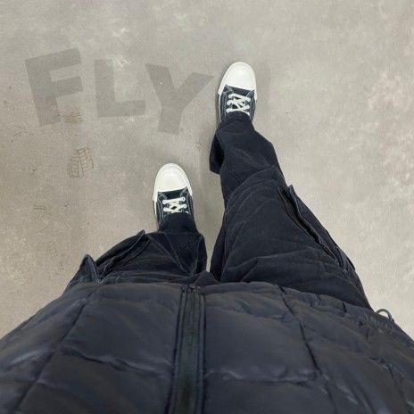 FLY | Boomplay Music