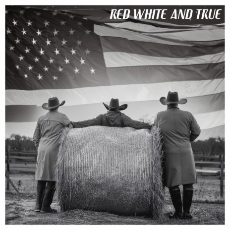 True American Soul | Boomplay Music