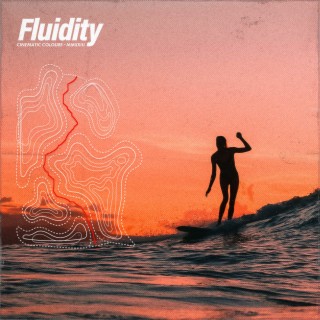 Fluidity