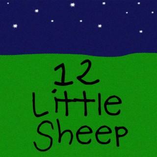 12 Little Sheep