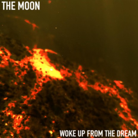 WOKE UP FROM THE DREAM | Boomplay Music