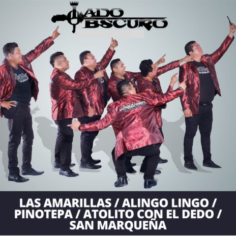 Las Amarillas / Alingo Lingo / Pinotepa / Atolito Con El Dedo / San Marqueña (en Vivo) | Boomplay Music