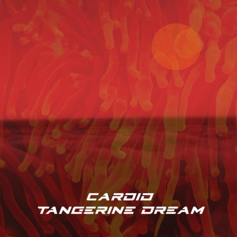 Tangerine Dream | Boomplay Music