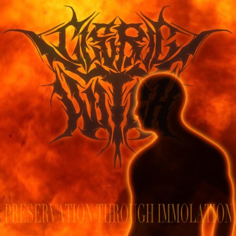 Preservation Through Immolation (Instrumental) | Boomplay Music