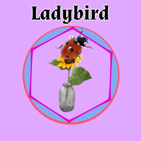 Ladybird ft. Christian Afrobeat