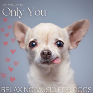 Only You - Relaxing Music for Dogs