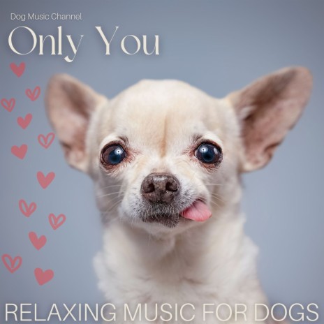 Calming Piano for Dogs
