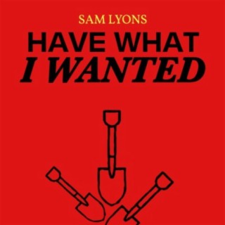 Have What I Wanted lyrics | Boomplay Music