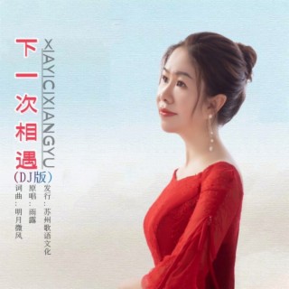 下一次相遇（雨露新版DJ） lyrics | Boomplay Music