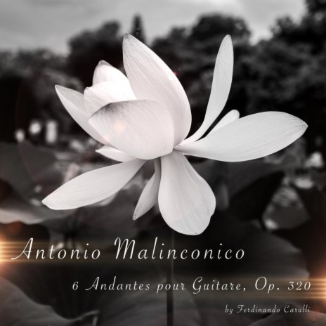 6 Andantes pour Guitare, Op. 320: III. Andante molto sostenuto