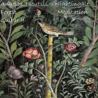 Forest Guitar II : Nightingale Meditation