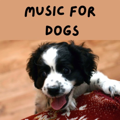 Puppy Yawns ft. Music For Dogs Peace, Relaxing Puppy Music & Calm Pets Music Academy | Boomplay Music