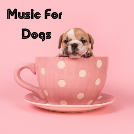 Bark Ballads ft. Music For Dogs Peace, Relaxing Puppy Music & Calm Pets Music Academy | Boomplay Music