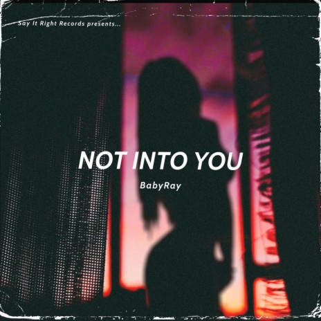 NOT INTO YOU | Boomplay Music