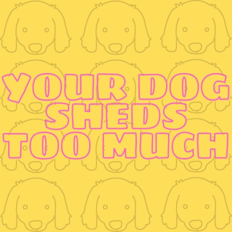 Your Dog Sheds Too Much | Boomplay Music