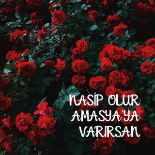 Nasip Olup Amasya'ya Varırsan