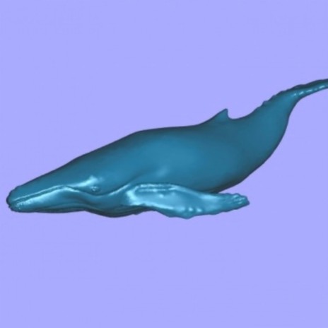low poly whale song | Boomplay Music
