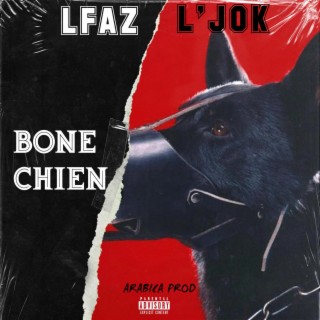 Bone chien