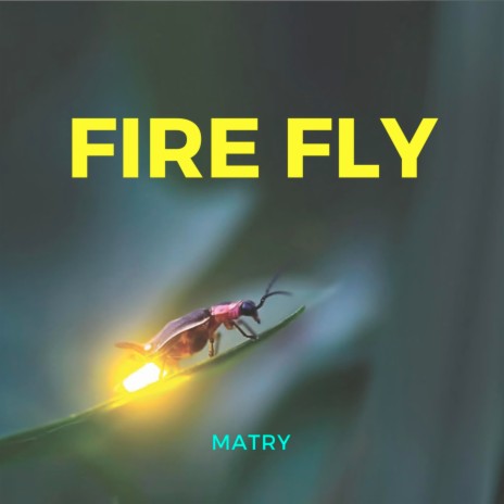 Fire Fly