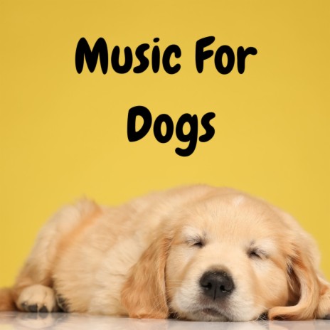 Howlin' Ballad ft. Music For Dogs Peace, Relaxing Puppy Music & Calm Pets Music Academy | Boomplay Music