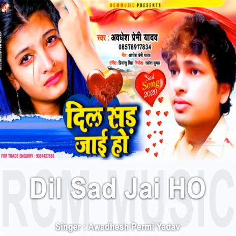 Dil Sad Jai Ho | Boomplay Music