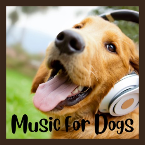 Chill-out Canines ft. Music For Dogs Peace, Relaxing Puppy Music & Calm Pets Music Academy | Boomplay Music