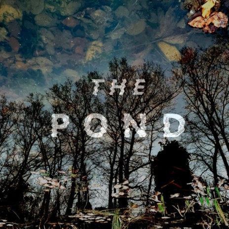 The Pond | Boomplay Music