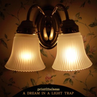 A Dream In A Light Trap