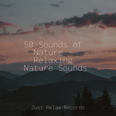 Gentle Melodies of Solace ft. Nature Sounds Nature Music & Ambiente | Boomplay Music