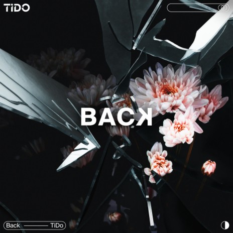 Back | Boomplay Music