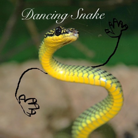 Dancing Snake