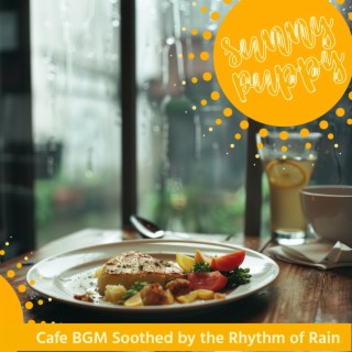 Cafe Bgm Soothed by the Rhythm of Rain