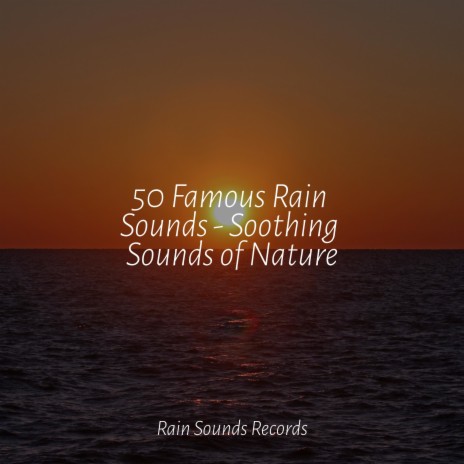 Echoes in Silence ft. Sounds Of Nature : Thunderstorm, Rain & Sleepy Night Music | Boomplay Music