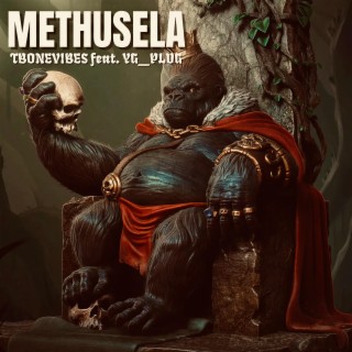 METHUSELA (feat. YG _PLUG)