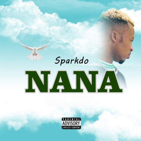 Nana | Boomplay Music