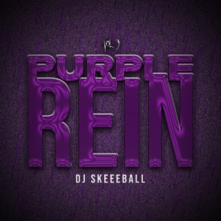Purple Rein Vol. 3