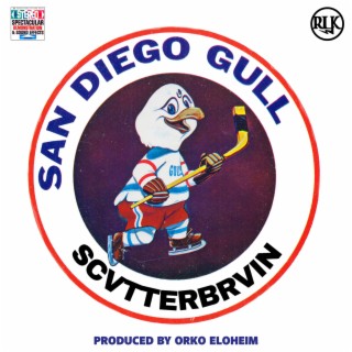 San Diego Gull lyrics | Boomplay Music