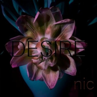 Desire (OS3K Remix)