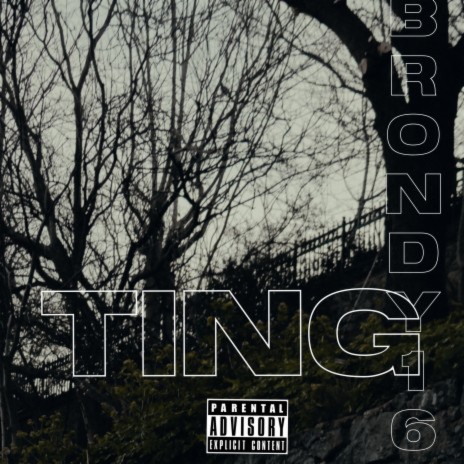 Ting | Boomplay Music