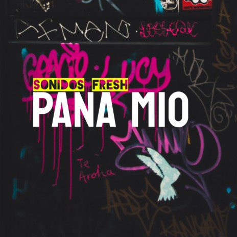 Pana mio | Boomplay Music